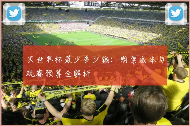 买世界杯最少多少钱:购票成本与观赛预算全解析