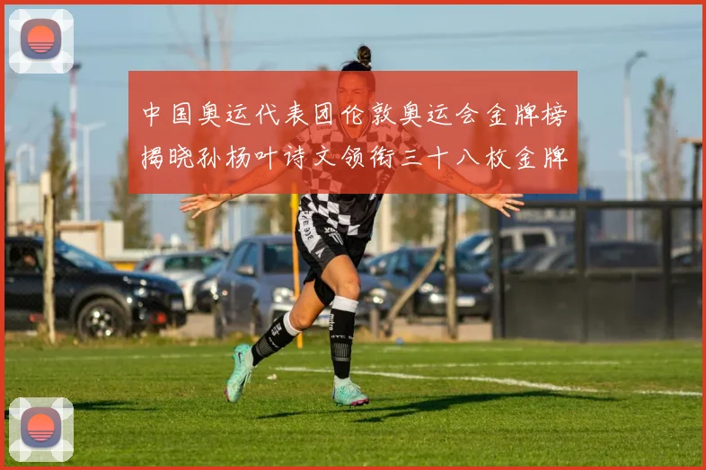 中国奥运代表团伦敦奥运会金牌榜揭晓孙杨叶诗文领衔三十八枚金牌居首