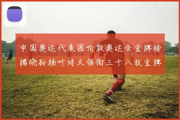 中国奥运代表团伦敦奥运会金牌榜揭晓孙杨叶诗文领衔三十八枚金牌居首